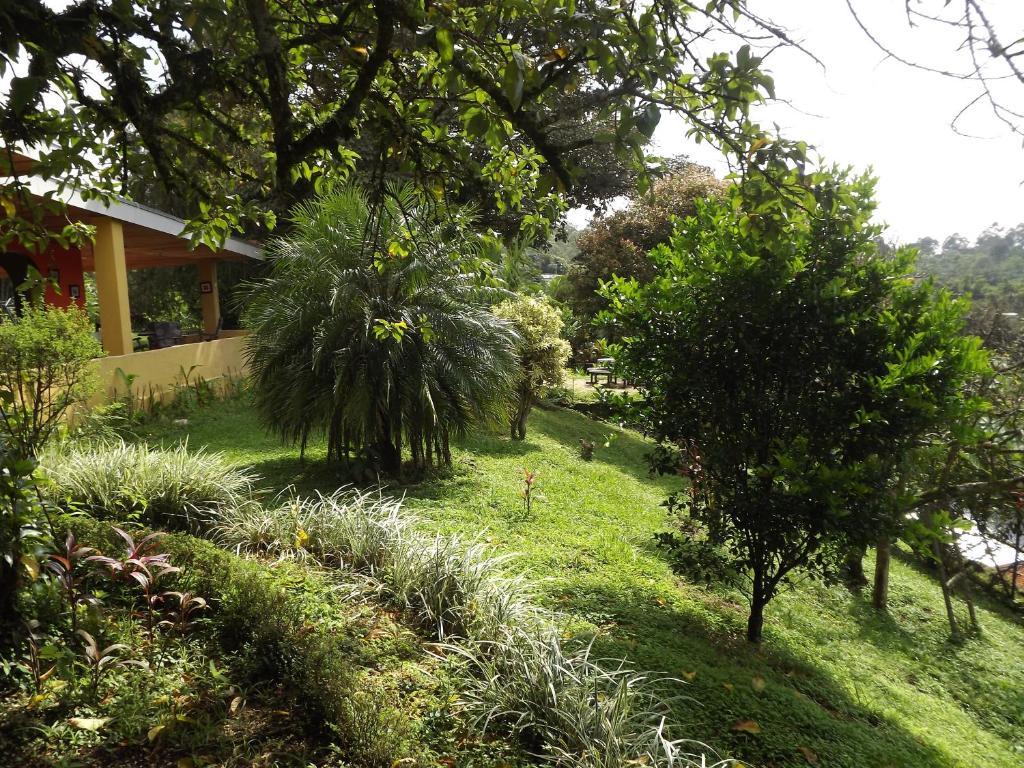 Aparthotel Villa Pacande & Rooms Pilas Zimmer foto